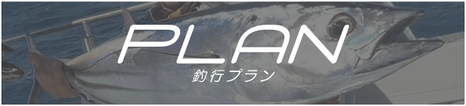 綾心丸